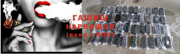 прущие грибы Алексеевка