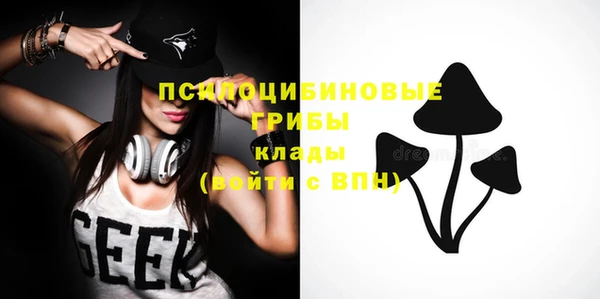 прущие грибы Алексеевка