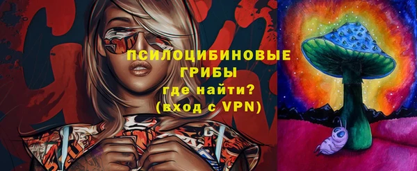 Альфа ПВП Алзамай