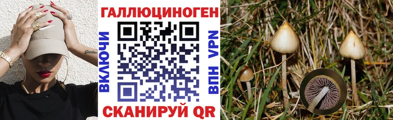 Псилоцибиновые грибы MAGIC MUSHROOMS  Кызыл 