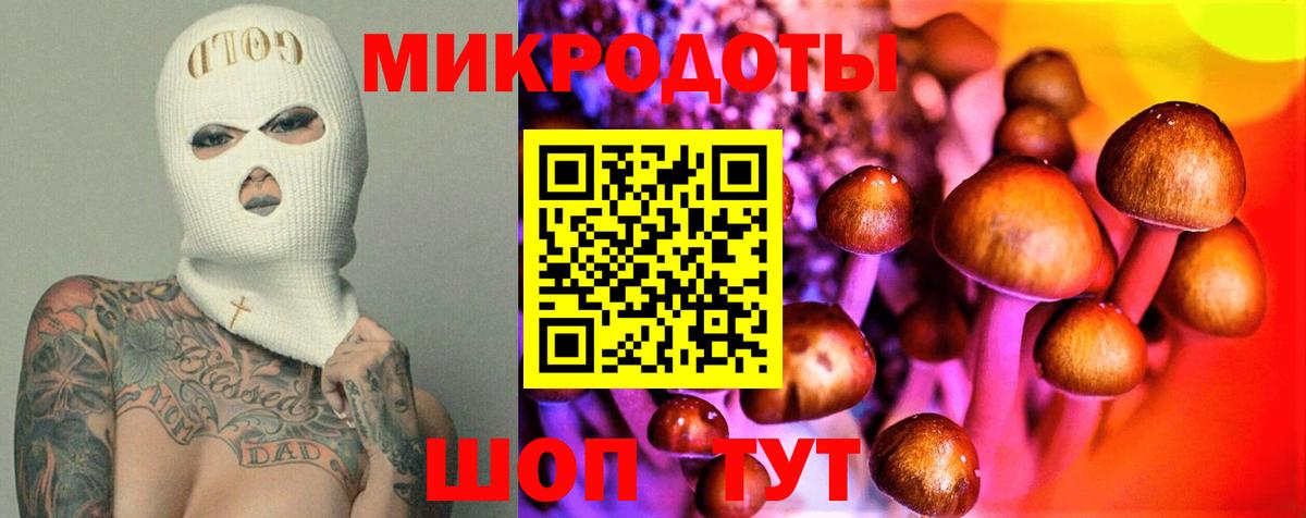 Кызыл  Галлюциногенные грибы Psilocybine cubensis  Вход с VPN 