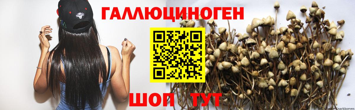 Галлюциногенные грибы ЛСД Кызыл